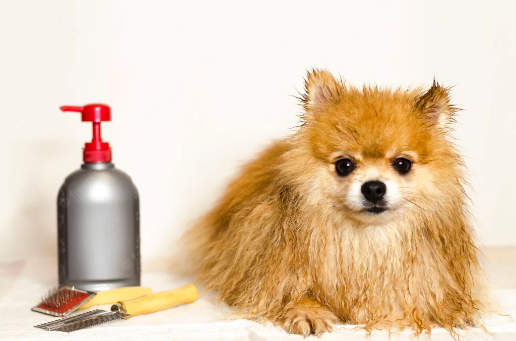 dog with a bottle of conditioner