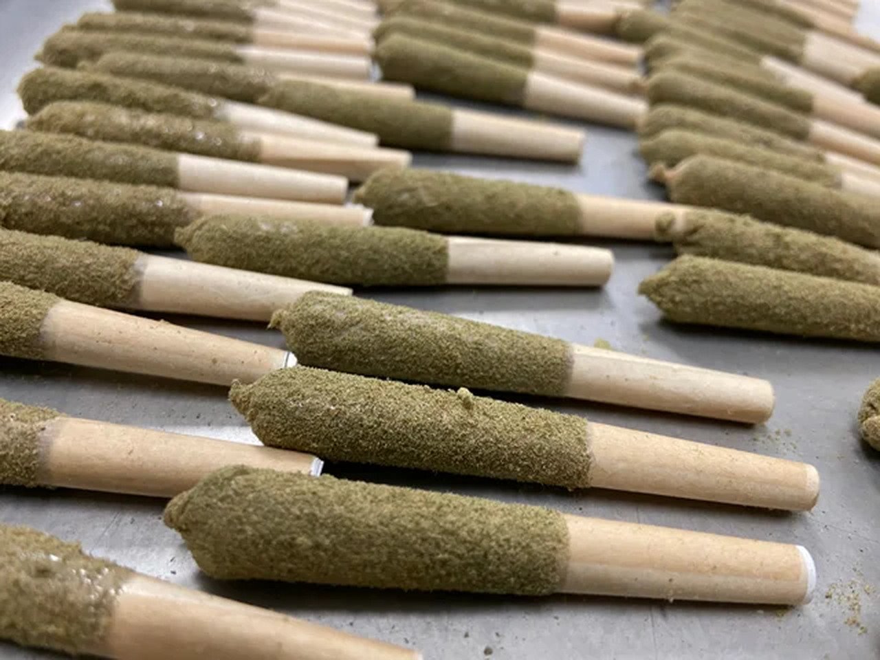 pre-rolls bulk